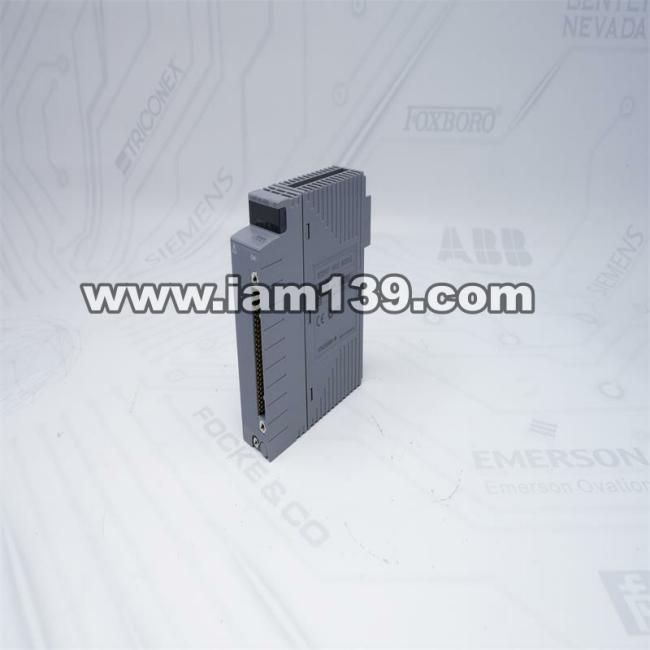
横河AAR145-S00 RTD/POT输入模块S1