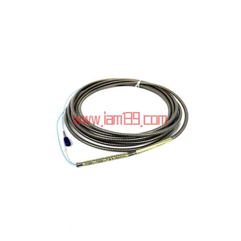 Bentley Nevada 330930-065-01-00 NSV延长线缆