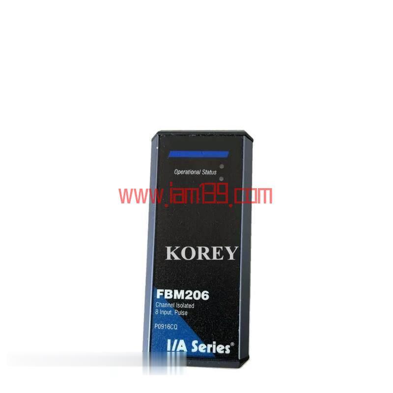 
Foxboro FBM206 P0916CQ - 通道隔离8输入模块