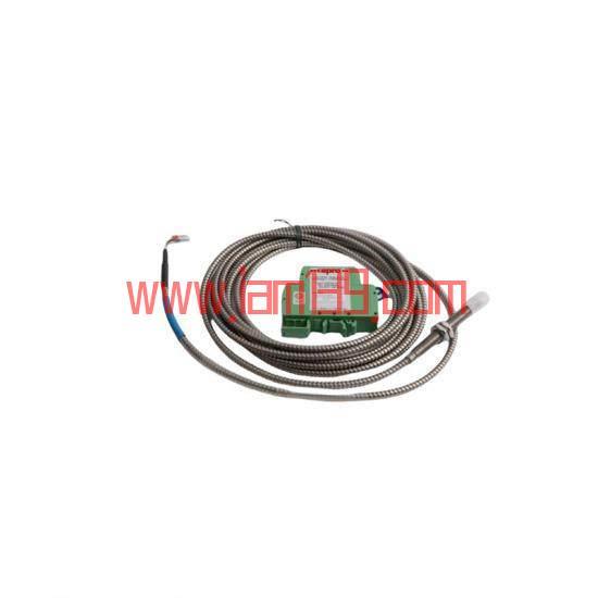 
艾默生 Emerson PR6423/015-111 涡流信号转换器，适用于工业自动化