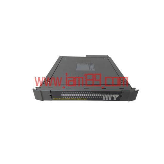 
ICS Triplex T8300 控制模块