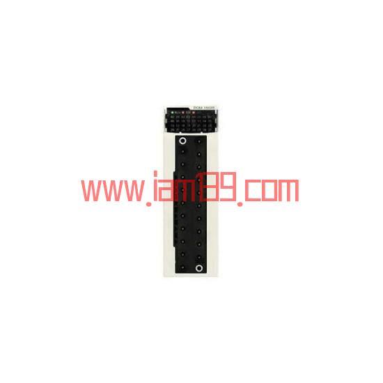 
施耐德 BMXDDM16025 离散混合 I/O 模块：掌控工业自动化中的精度与效率