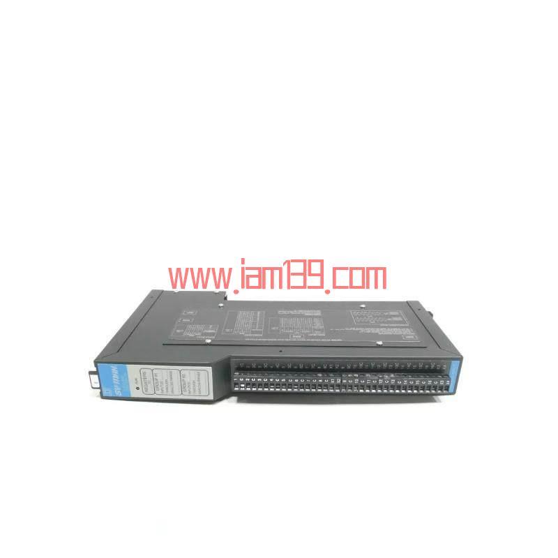 
Square D SY/MAX 8030-RIM125 模拟量输入模块